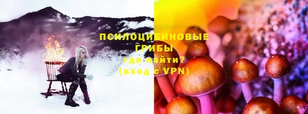 шишки Аркадак