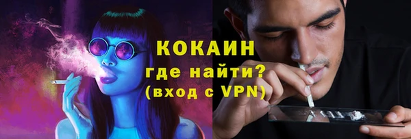 шишки Аркадак