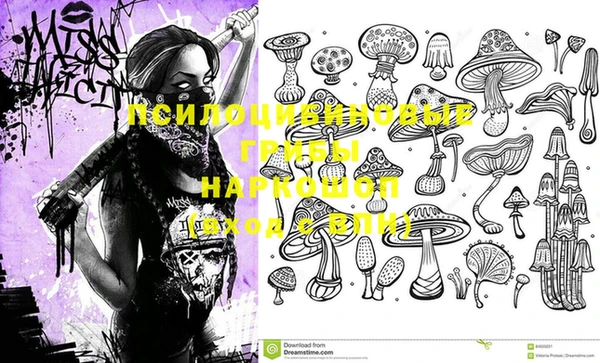 шишки Аркадак
