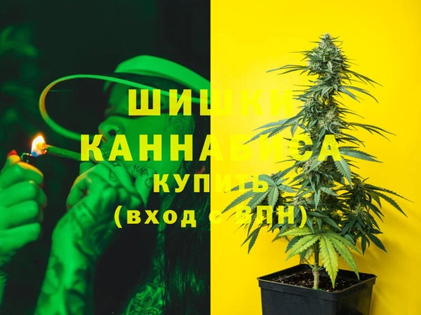 шишки Аркадак