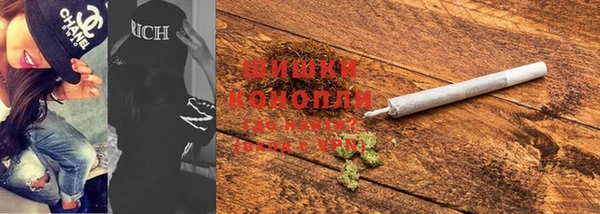 шишки Аркадак
