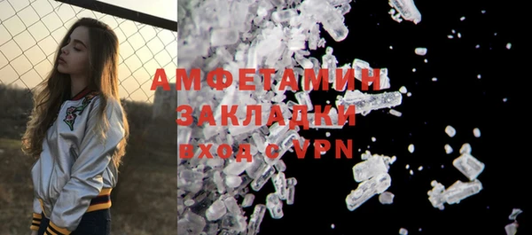 шишки Аркадак