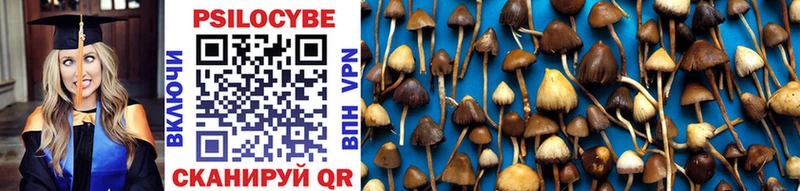 Галлюциногенные грибы Magic Shrooms  цены   Мамадыш 